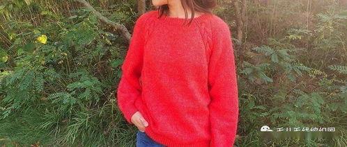 成人毛衣教学视频,跟随成人毛衣教学视频打造个性保暖单品