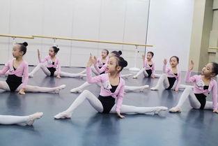 简单中国舞成人教学视频,跟随中国舞教学视频，开启您的舞蹈之旅