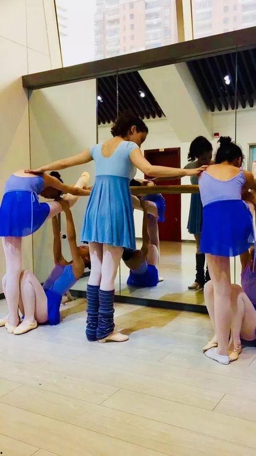 成人芭蕾班视频大全,成人芭蕾班视频大全精选解析