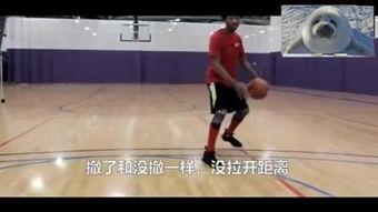 篮球成人训练视频教学,全方位提升篮球技能攻略