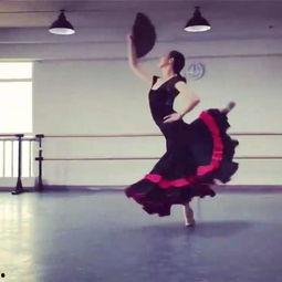 舞蹈剧目成人最新视频,最新成人舞蹈剧目视频赏析